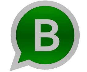 Whatsapp Chat